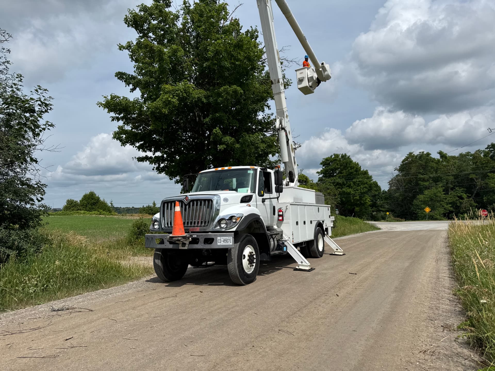 Roadside tree removal
