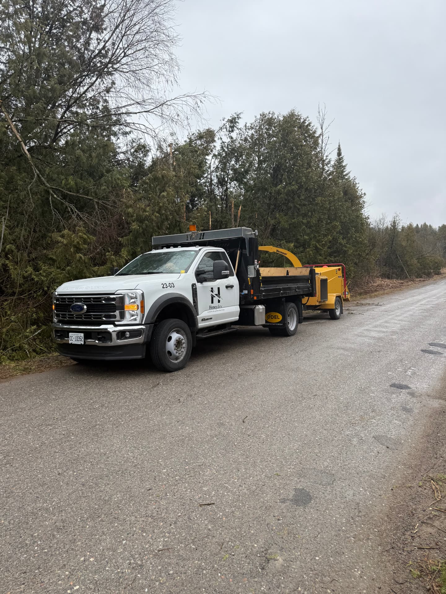 Chipping & haul-away